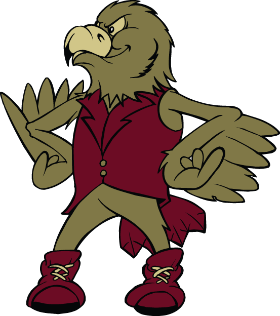 Denver Pioneers 1999-2003 Mascot Logo iron on transfers for T-shirts